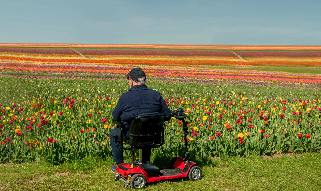 Electric Mobility Scooters in Flower Field